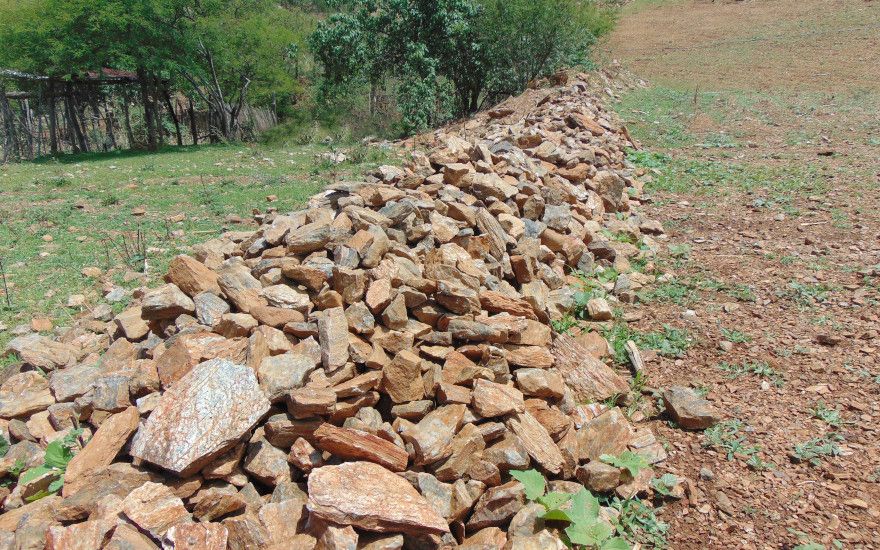 Barreras muertas, un practica resiliente a la erosión.